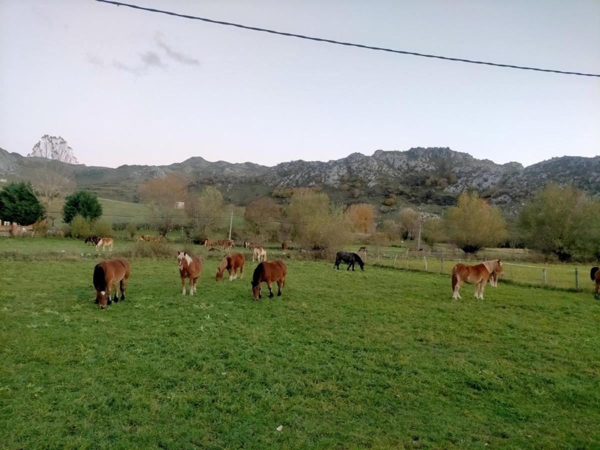 Turismo En Babia Bajo Los Nidos San Emiliano Exterior foto